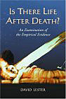 Is There Life After Death? An Examination of the Empirical Evidence