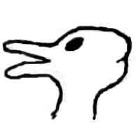 jpg3duck.jpg (2902 bytes)