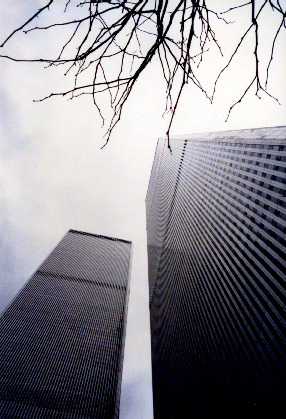 Haunting yet beautiful view of the awesome height of these 110-floor marvels of human creation.